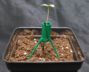 Un innovador tutor para las plantas